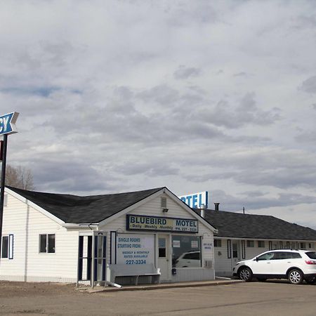 Bluebird Motel Innisfail Kültér fotó